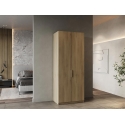 ARMARIO DE 2 PUERTAS LOUIS